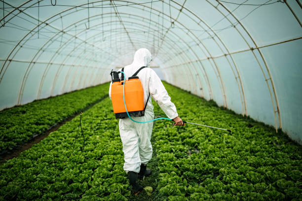 Best Local Pest Control Services  in New Hope, PA