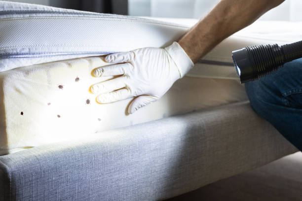 Best Pest Inspection Near Me  in New Hope, PA