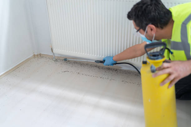 Best Best Pest Control Companies  in New Hope, PA