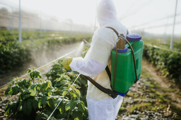 Best Best Pest Control Companies  in New Hope, PA